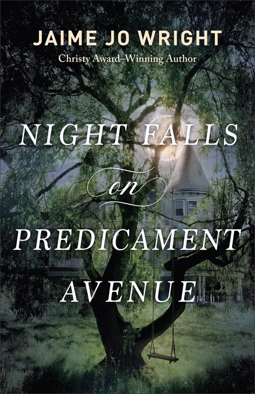 Night Falls on Predicament Avenue (Hardcover)