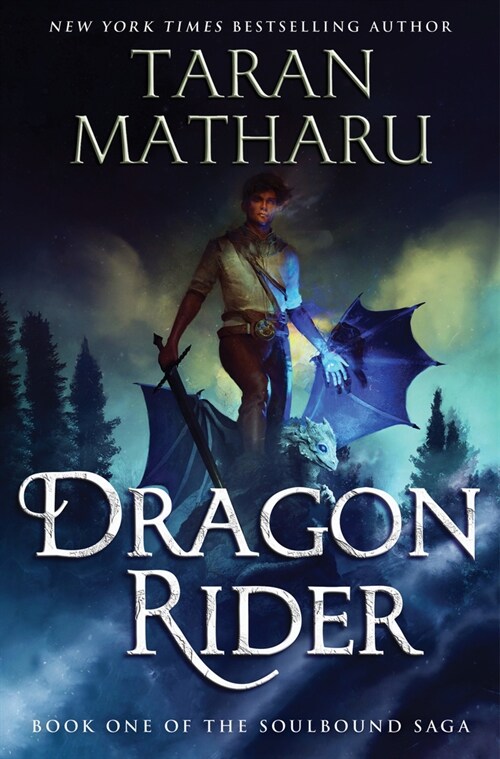 Dragon Rider (Hardcover)