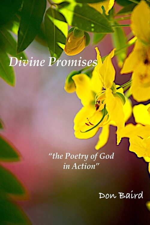 Divine Wisdom: the Poetry of God in Action (Paperback)