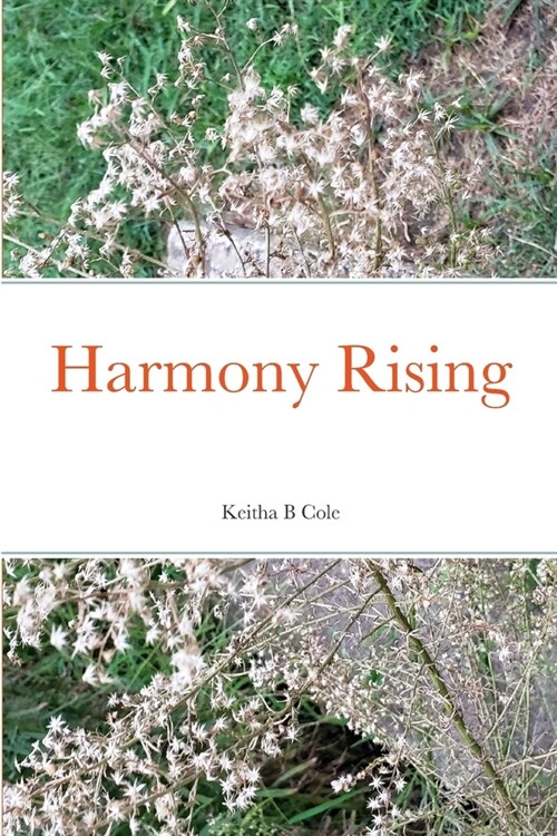 Harmony Rising (Paperback)