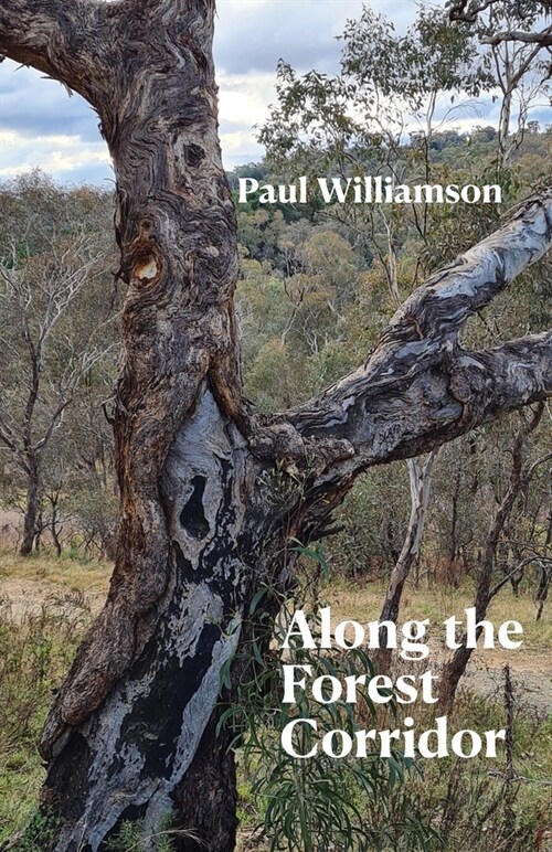 Along the Forest Corridor (Paperback)