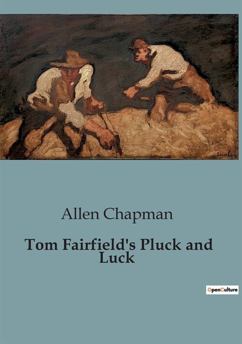 Tom Fairfields Pluck and Luck (Paperback)