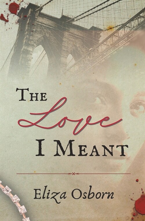 The Love I Meant (Paperback)
