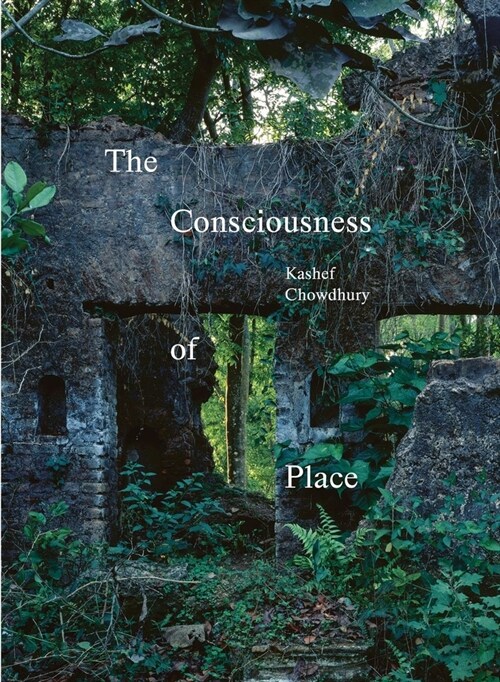 The Consciousness of Place (Hardcover)