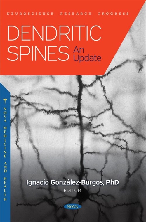 Dendritic Spines: An Update (Hardcover)
