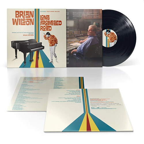 [수입] Brian Wilson - Brian Wilson: Long Promised Road [LP]