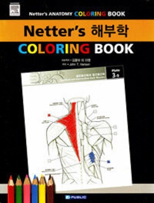 [중고] Netter‘s 해부학 Coloring Book