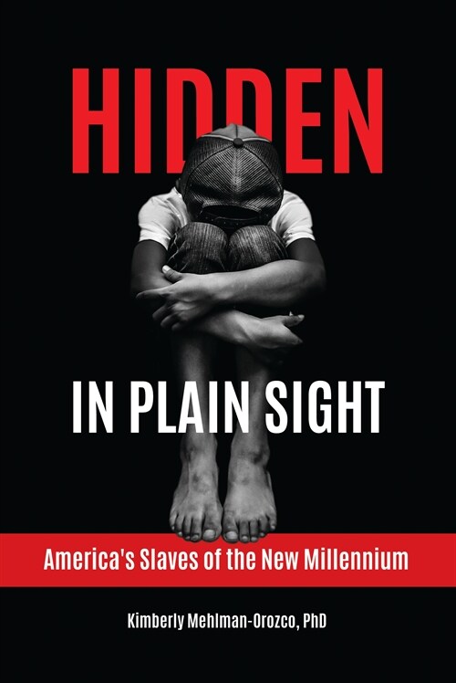 Hidden in Plain Sight: Americas Slaves of the New Millennium (Paperback)