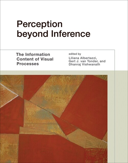 Perception beyond Inference: The Information Content of Visual Processes (Paperback)