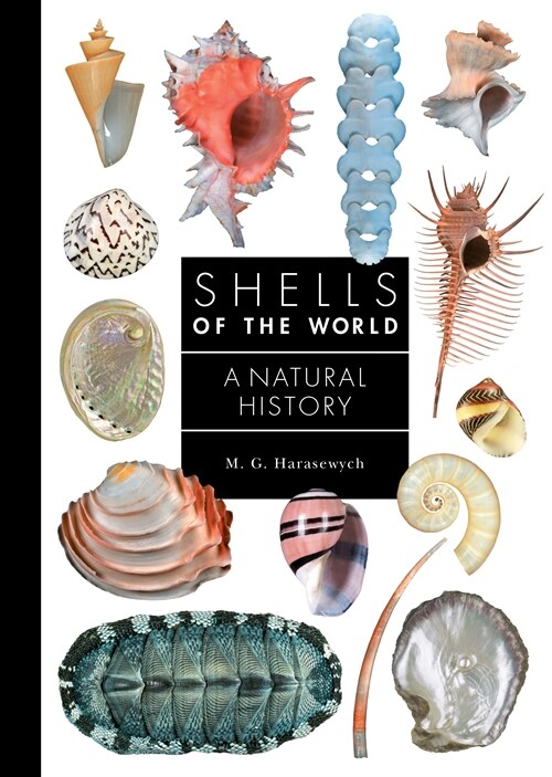 Shells of the World: A Natural History (Hardcover)