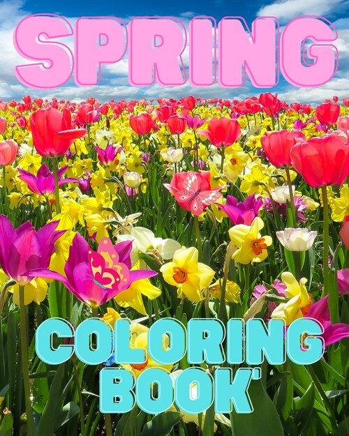 Spring Coloring Book: For Adults with Wildflowers, Birds, Butterfly and Easy Spring Scenes (Paperback)