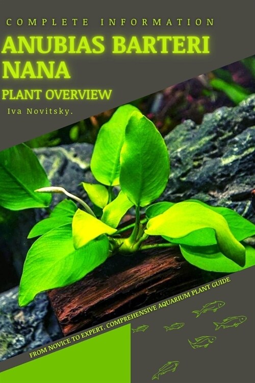 Anubias barteri nana: From Novice to Expert. Comprehensive Aquarium Plants Guide (Paperback)