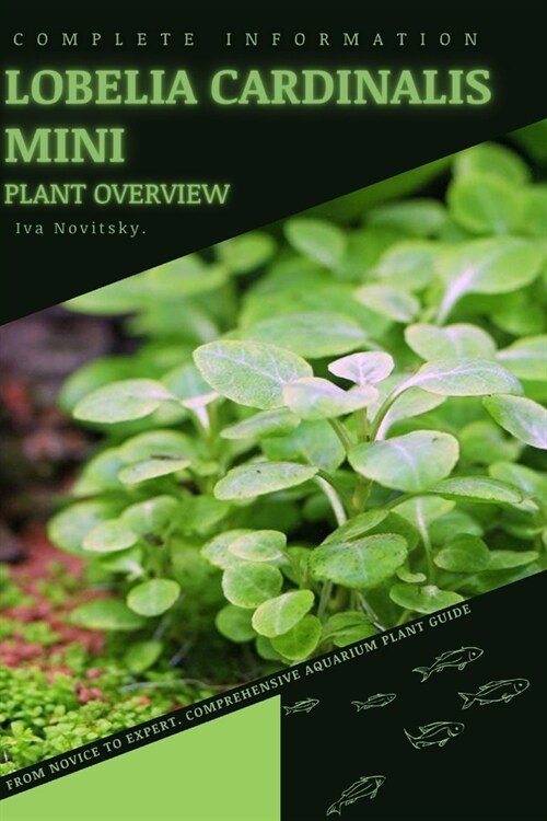 Lobelia Cardinalis Mini: From Novice to Expert. Comprehensive Aquarium Plants Guide (Paperback)