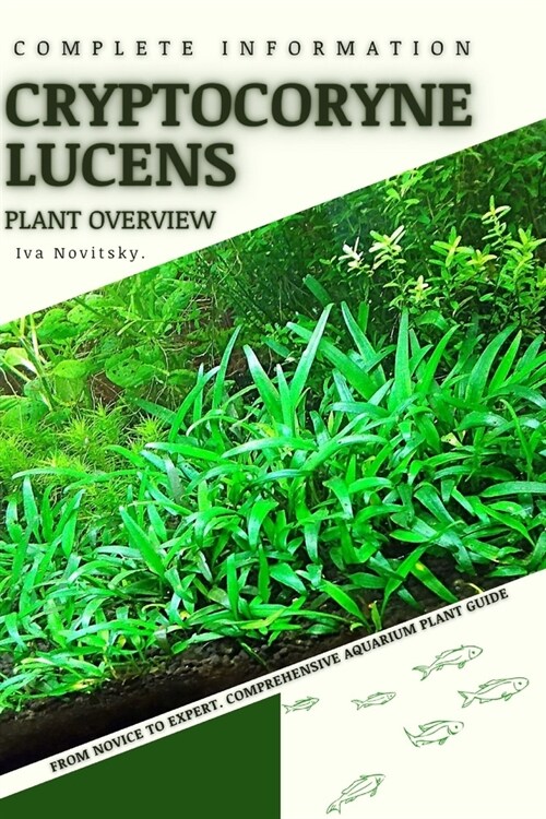 Cryptocoryne Lucens: From Novice to Expert. Comprehensive Aquarium Plants Guide (Paperback)