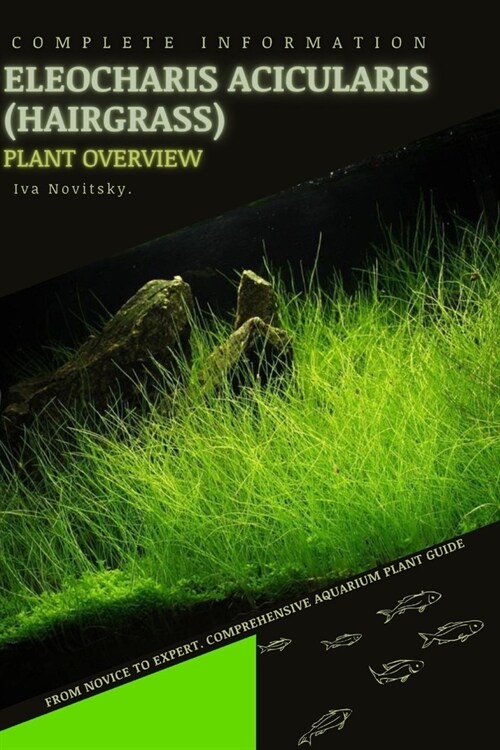 Eleocharis Acicularis (Hairgrass): From Novice to Expert. Comprehensive Aquarium Plants Guide (Paperback)