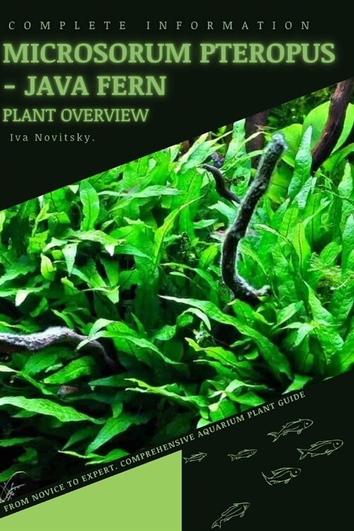 Microsorum Pteropus - Java Fern: From Novice to Expert. Comprehensive Aquarium Plants Guide (Paperback)