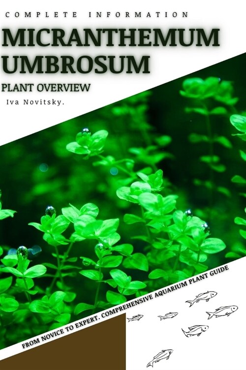 Micranthemum Umbrosum: From Novice to Expert. Comprehensive Aquarium Plants Guide (Paperback)