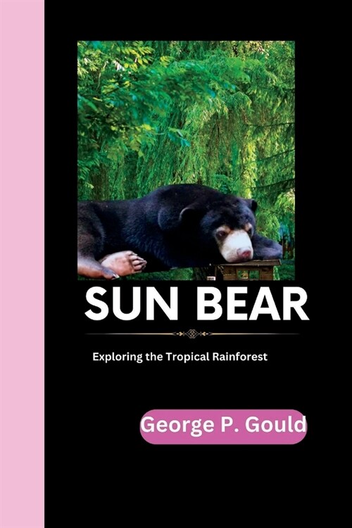 Sun Bear: Exploring the Tropical Rainforest (Paperback)