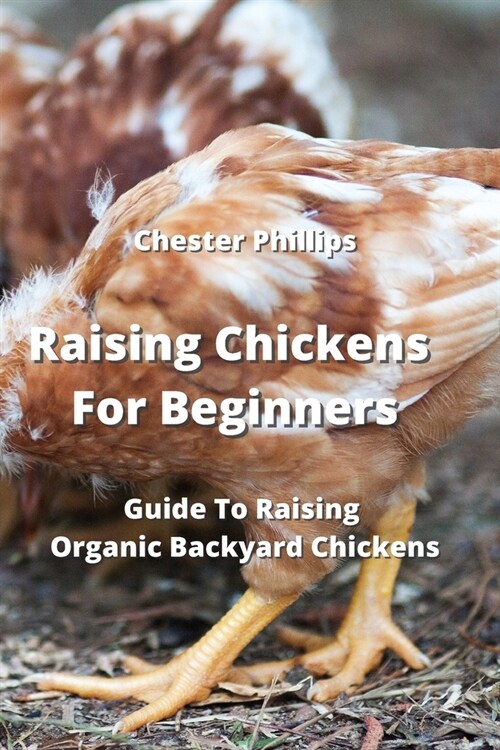 Raising Chickens For Beginners: Guide To Raising Organic Backyard Chickens (Paperback)