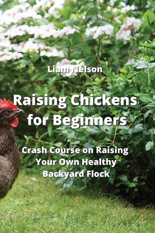 Raising Chickens for Beginners: Crash Course on Raising Your Own Healthy Backyard Flock (Paperback)