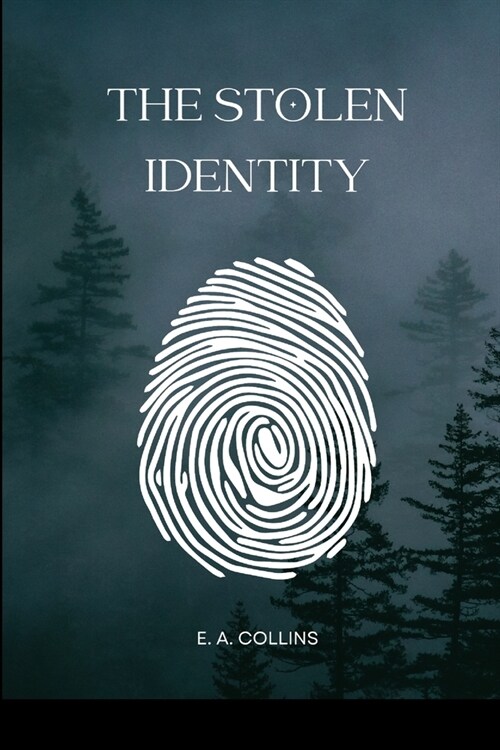 The Stolen Identity (Paperback)
