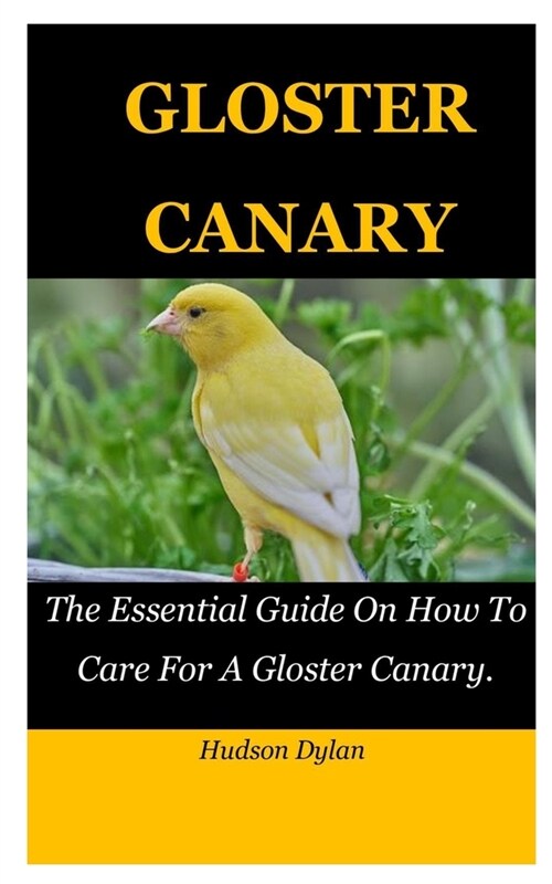 Gloster Canary: The Essential Guide On How To Care For A Gloster Canary. (Paperback)