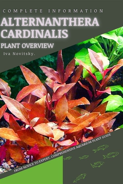 Alternanthera Cardinalis: From Novice to Expert. Comprehensive Aquarium Plants Guide (Paperback)