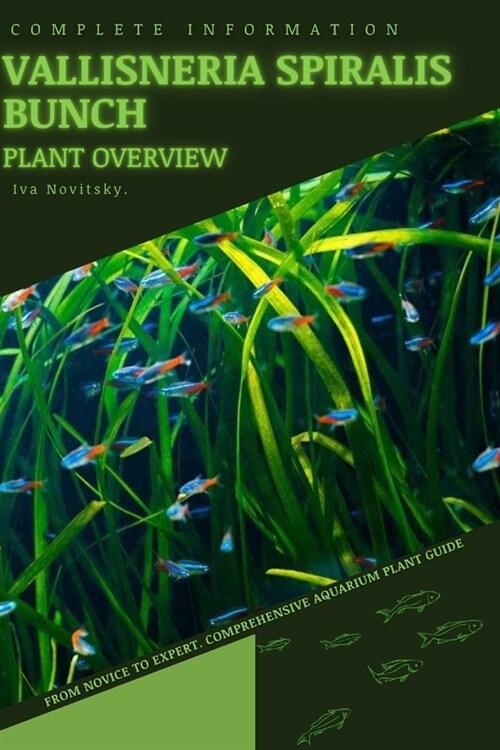 Vallisneria Spiralis Bunch: From Novice to Expert. Comprehensive Aquarium Plants Guide (Paperback)