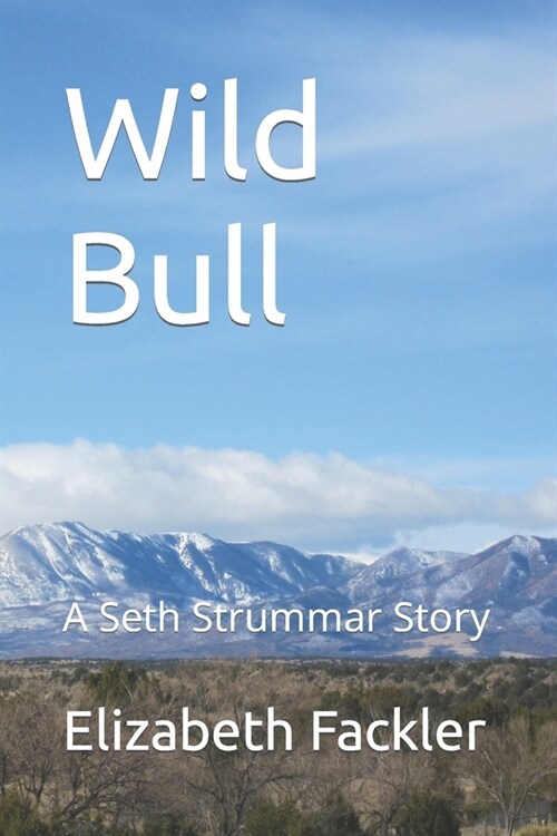 Wild Bull: A Seth Strummar Story (Paperback)