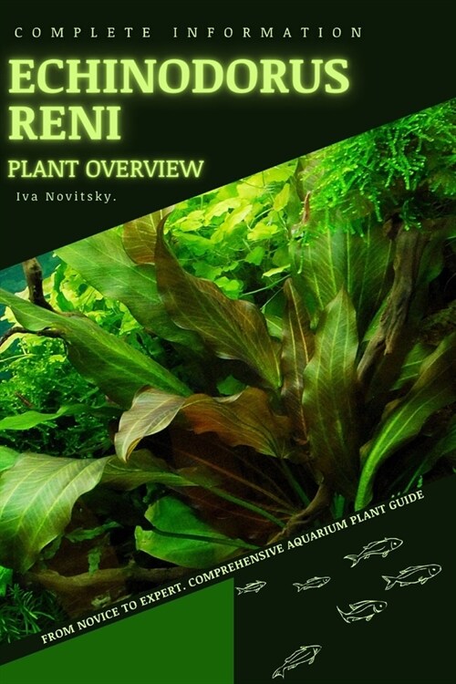 Echinodorus Reni: From Novice to Expert. Comprehensive Aquarium Plants Guide (Paperback)