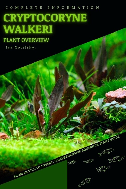 Cryptocoryne Walkeri: From Novice to Expert. Comprehensive Aquarium Plants Guide (Paperback)