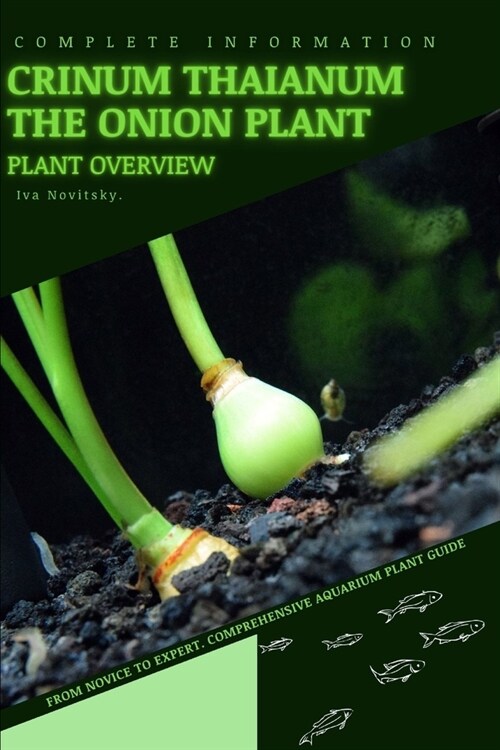 Crinum Thaianum The Onion Plant: From Novice to Expert. Comprehensive Aquarium Plants Guide (Paperback)