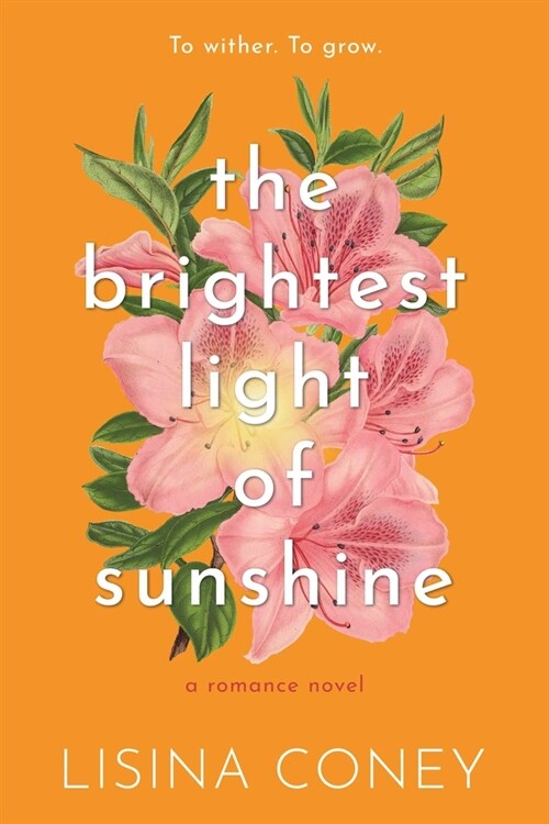 Brightest Light of Sunshine (Paperback)