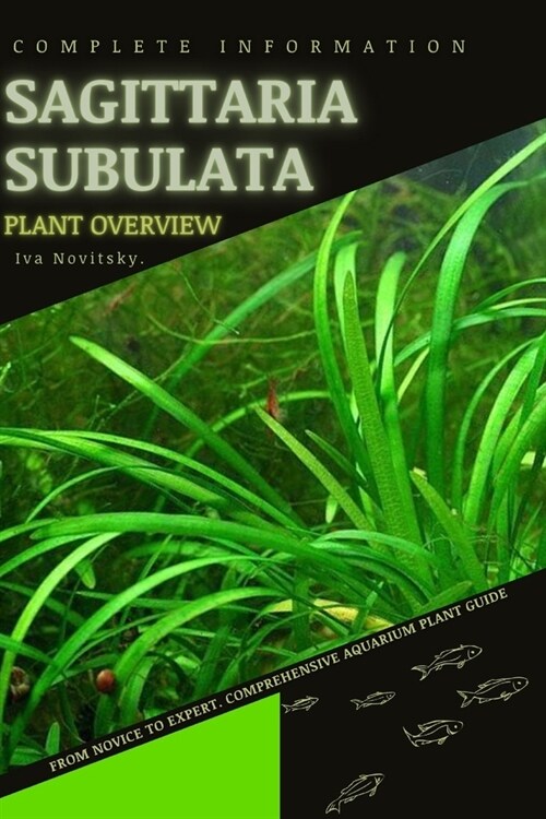 Sagittaria subulata: From Novice to Expert. Comprehensive Aquarium Plants Guide (Paperback)