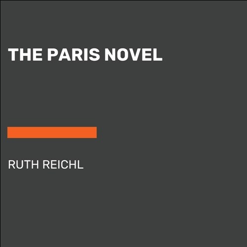 The Paris Novel (Paperback)