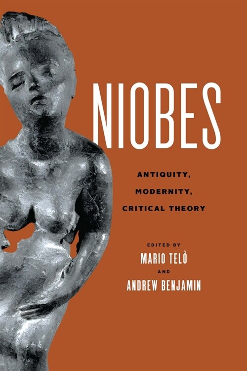 Niobes: Antiquity, Modernity, Critical Theory (Hardcover)