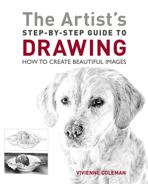 The Artists Step-By-Step Guide to Drawing: How to Create Beautiful Images (Paperback)