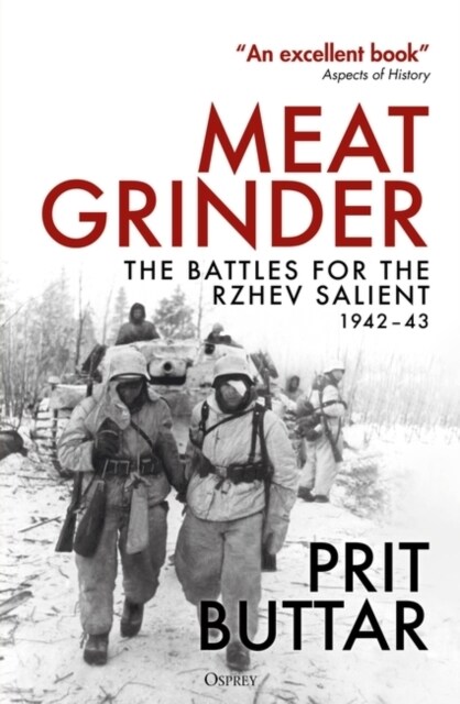 Meat Grinder : The Battles for the Rzhev Salient, 1942–43 (Paperback)