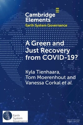 A Green and Just Recovery from COVID-19? : Government Investment in the Energy Transition during the Pandemic (Paperback)