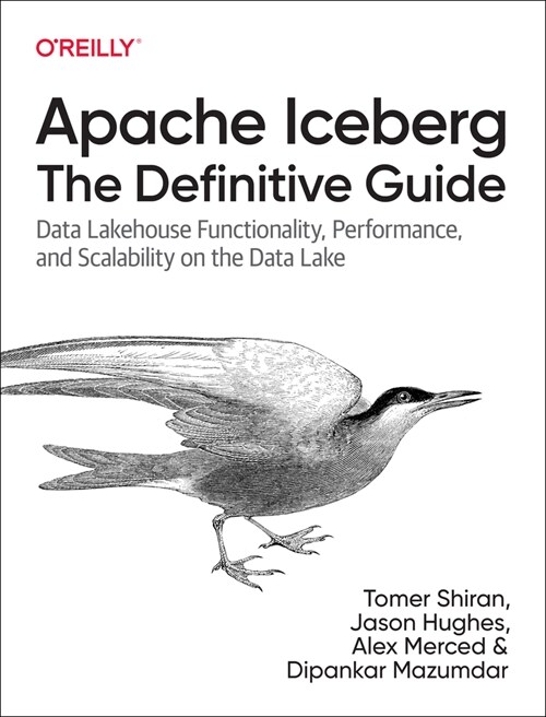 Apache Iceberg: The Definitive Guide: Data Lakehouse Functionality, Performance, and Scalability on the Data Lake (Paperback)