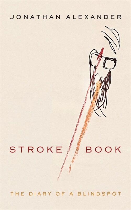 Stroke Book: The Diary of a Blindspot (Paperback)