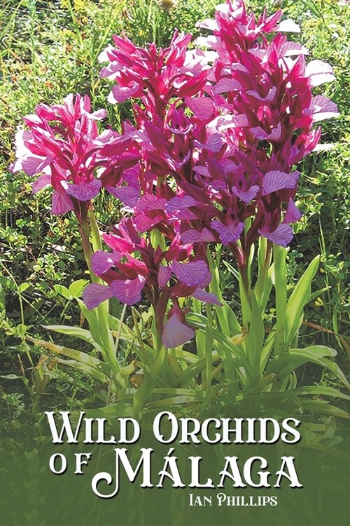 Wild Orchids of Malaga (Paperback)