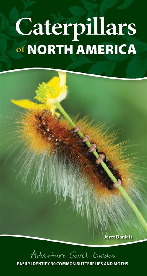 Caterpillars of North America: Easily Identify 90 Common Butterflies and Moths (Spiral)