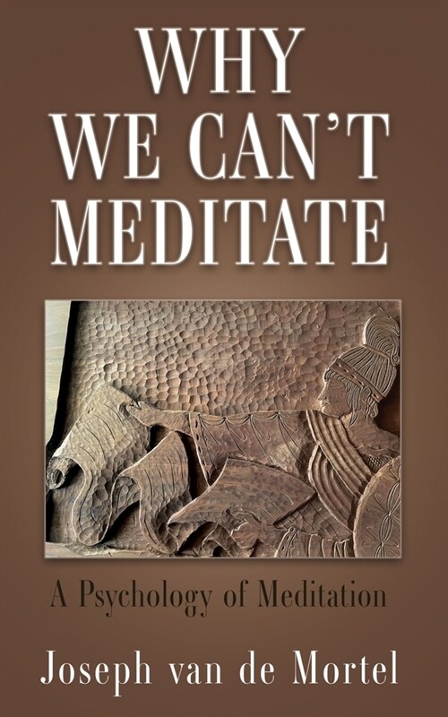 Why We Cant Meditate: A Psychology of Meditation (Paperback)