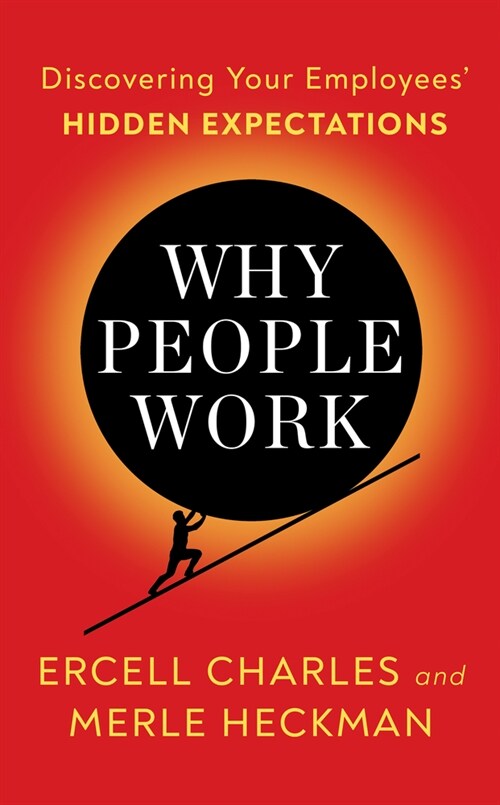 Why People Work: Discovering Your Employees Hidden Expectations (Paperback)