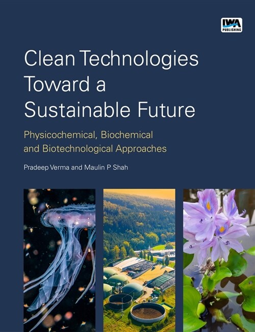 Clean Technologies Toward a Sustainable Future: Physicochemical, Biochemical and Biotechnological Approaches (Paperback)