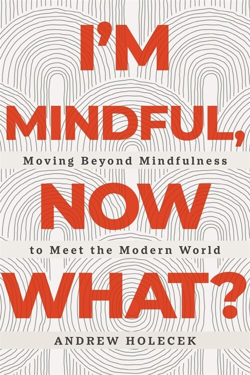 Im Mindful, Now What?: Moving Beyond Mindfulness to Meet the Modern World (Paperback)