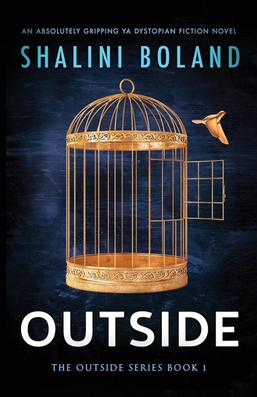 Outside: An absolutely gripping YA dystopian fiction novel (Paperback)