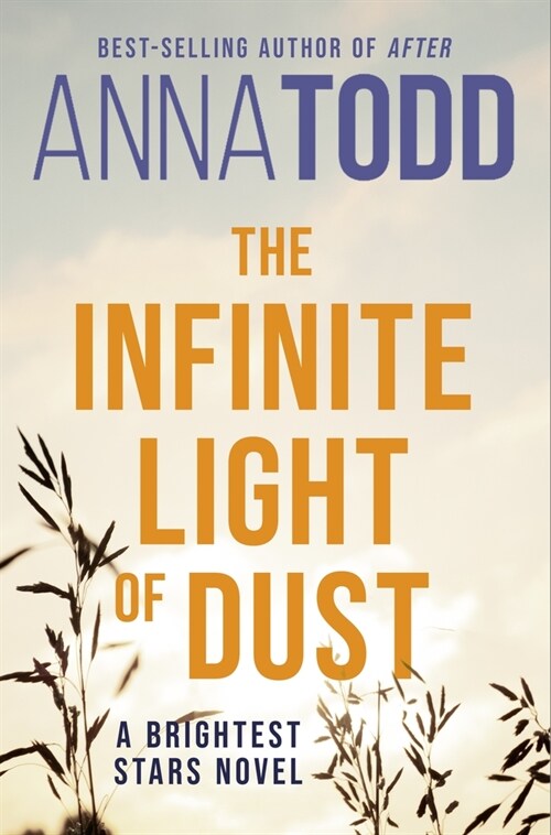 The Infinite Light of Dust (Paperback)