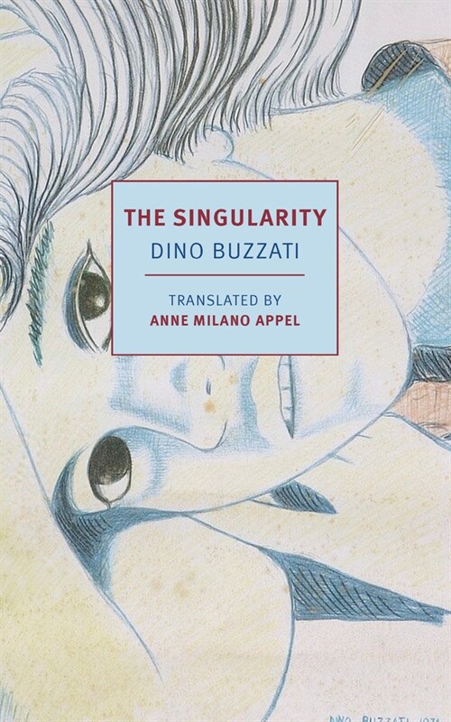 The Singularity (Paperback)